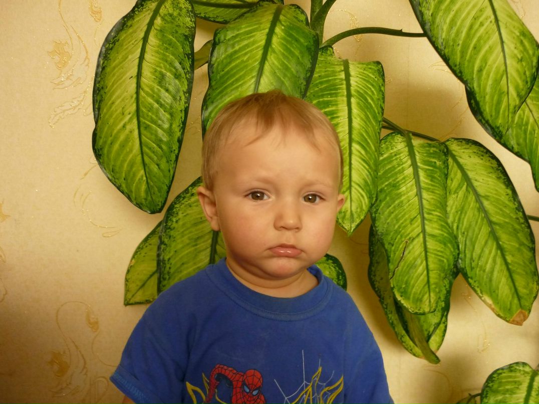 Евгений Давыдов | Рубцовск