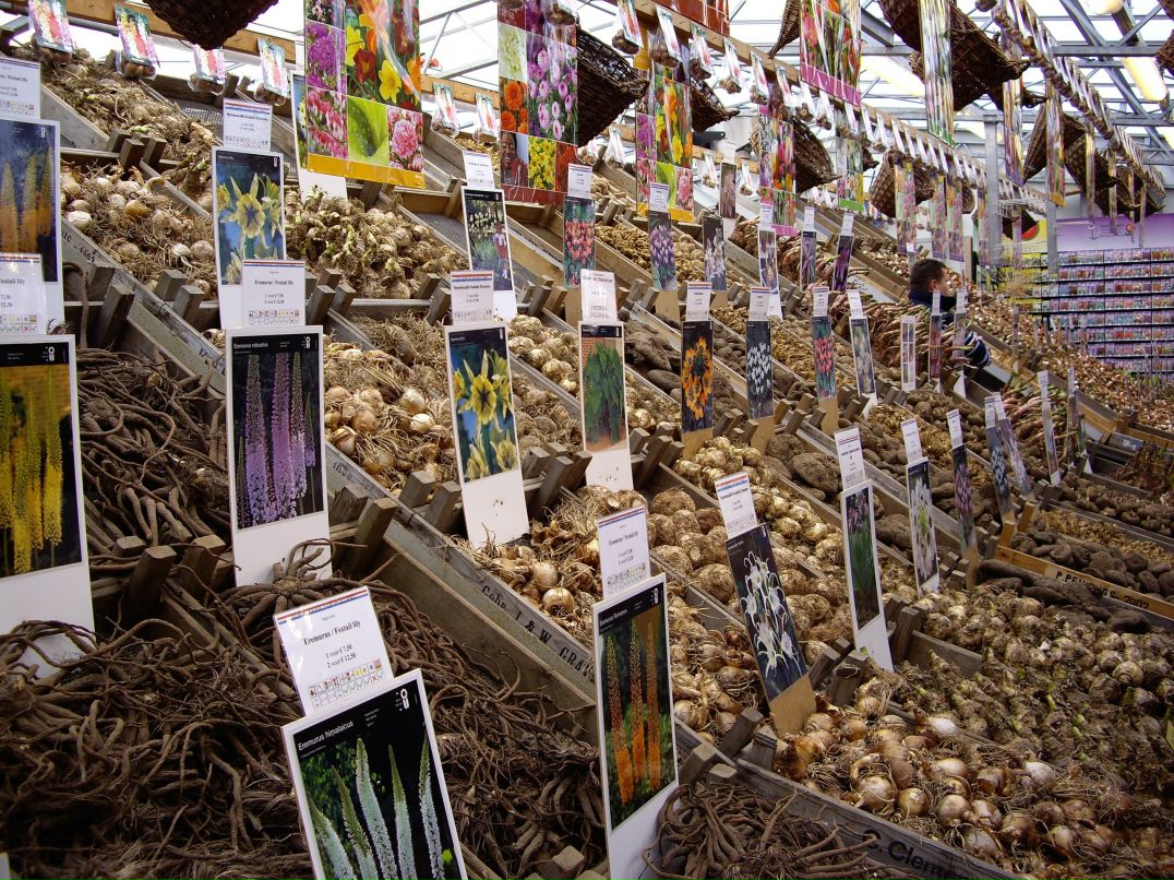 Анастасия Токарева | Москва