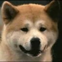 Полина Перова SED | Южно-Сахалинск