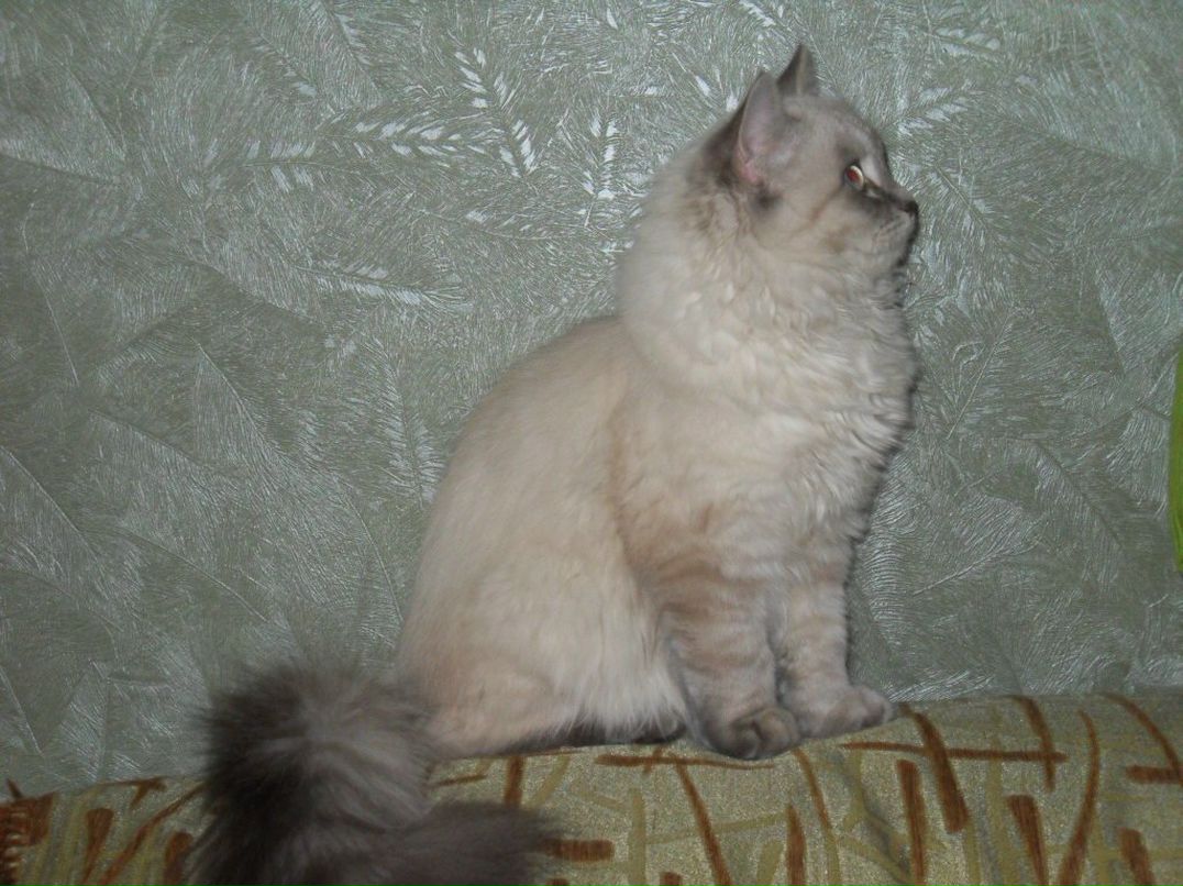 Виталий Зозуля | Мелитополь