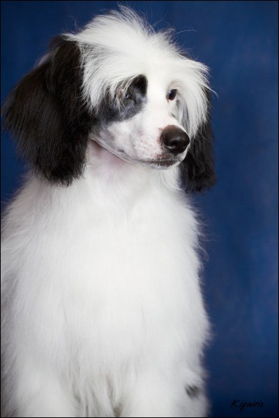 Сашка Солнцева | Москва