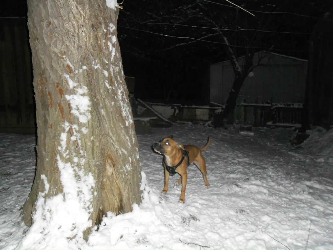 Александр Александров | Запорожье
