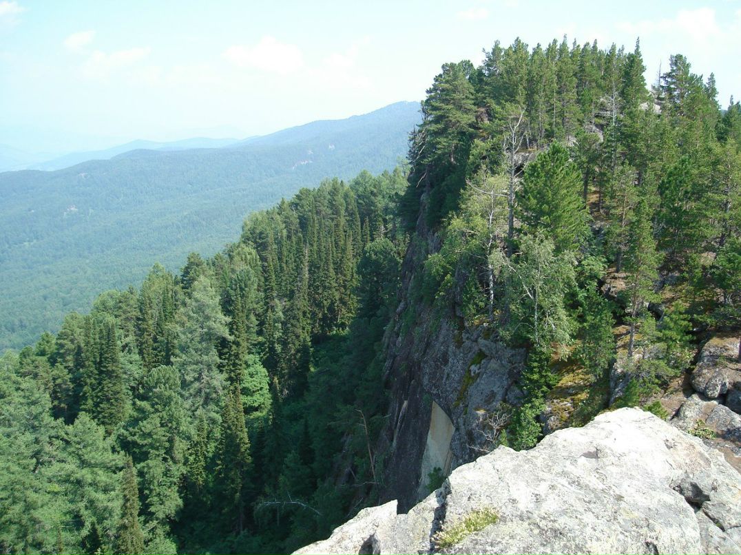 Вячеслав Рощин | 