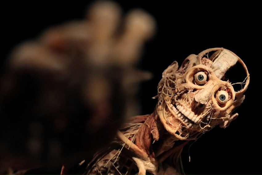 №67, Сергей Козлов, 25 лет, Вологда, Россия №67, Сергей Козлов, 25 лет, Вологда, Россия