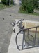 Владка Нурматова фотография #38
