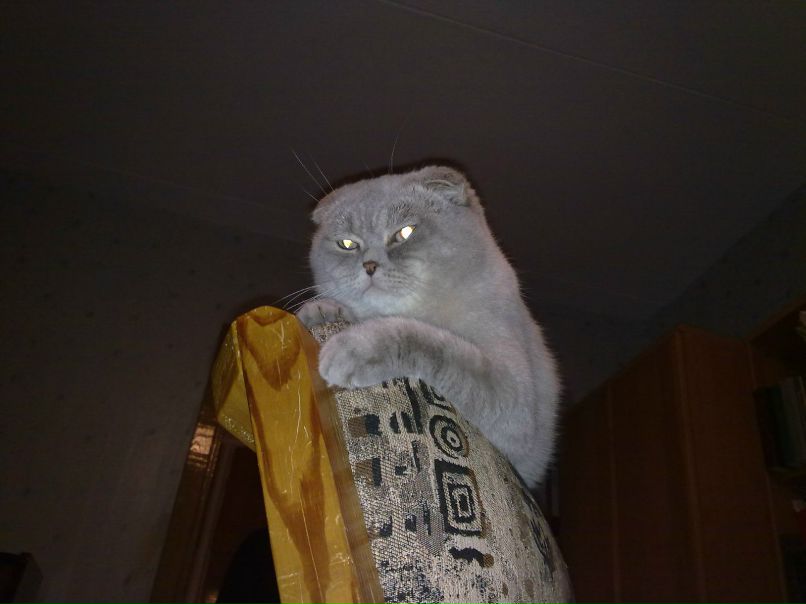 Анна Ревенкова | Минск