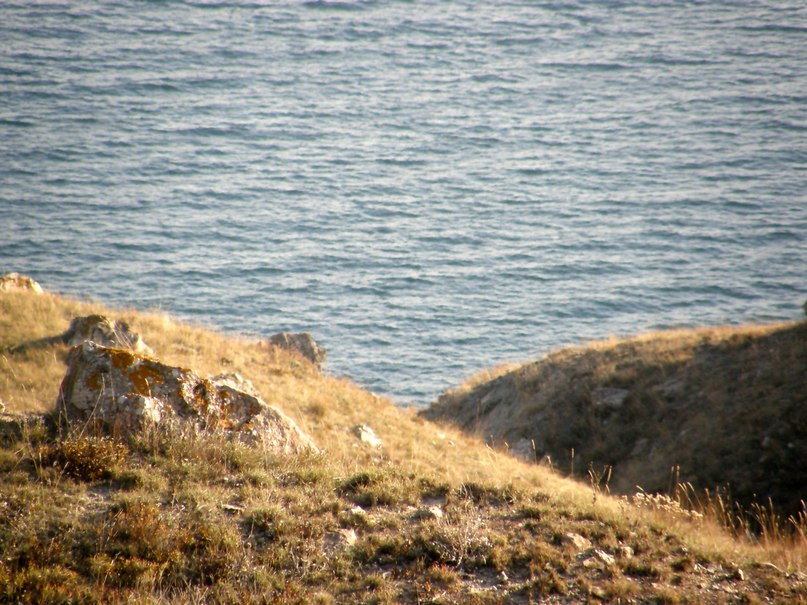 Серёга Тарасов | Великая Знаменка