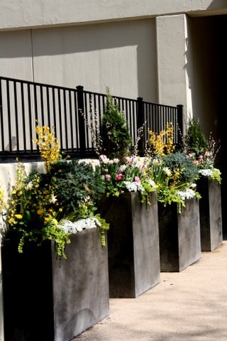 Alla Krutoyarskaya | Санкт-Петербург