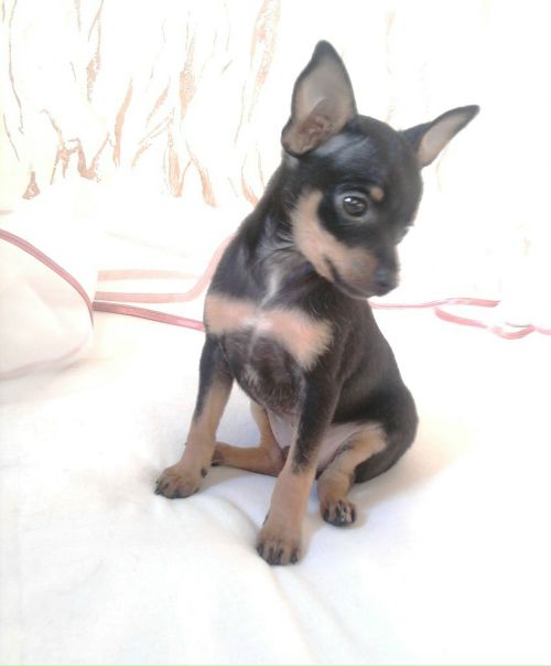 №121, Екатерина Баташева, Санкт-Петербург №121, Екатерина Баташева, Санкт-Петербург