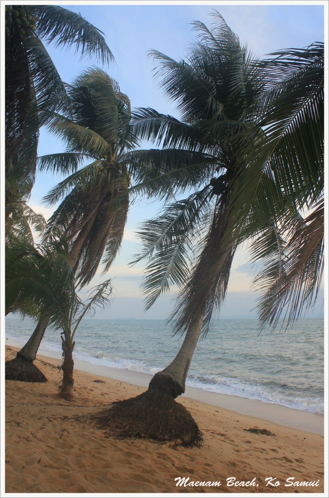 Юрий Воротников | Новосибирск