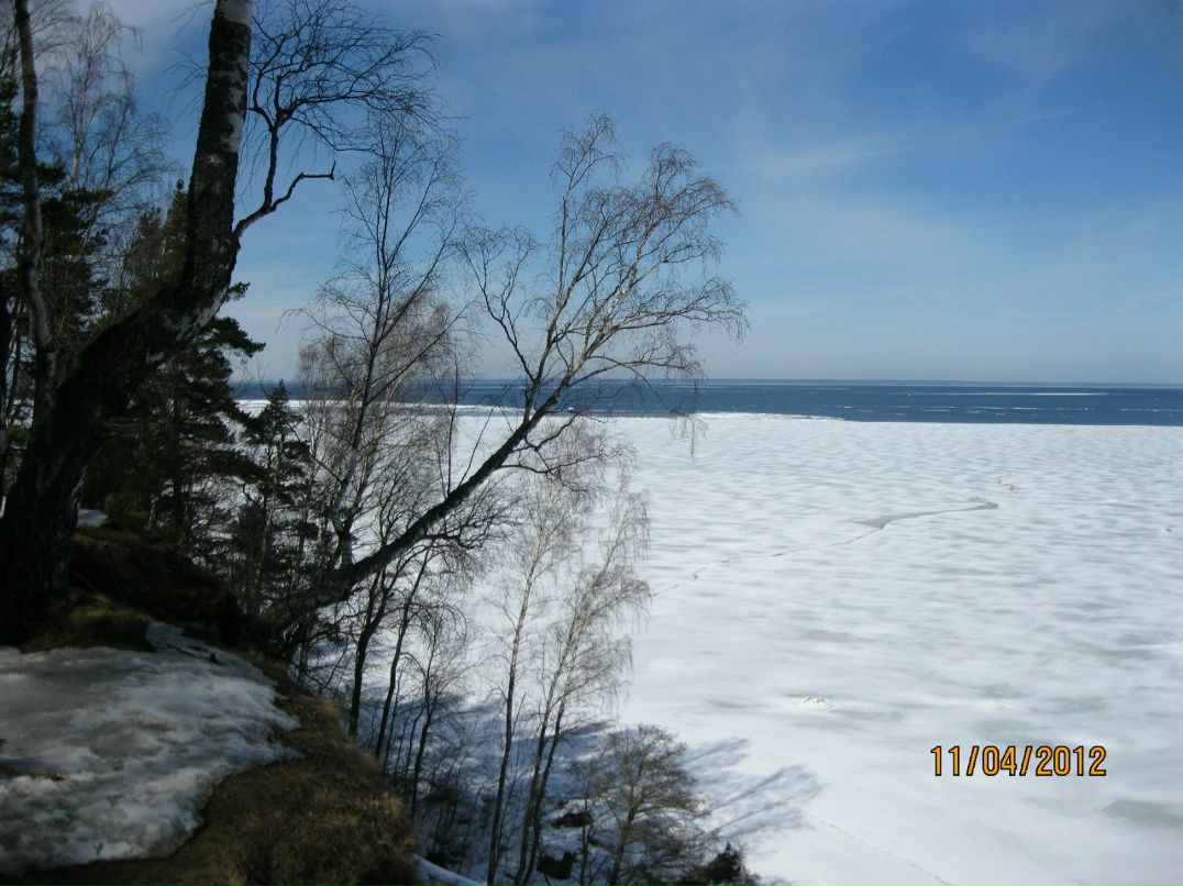 Максим Гаряев | Санкт-Петербург