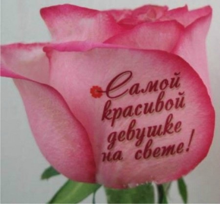 №85, Dildor Safarov, 20.6.1992, Курганинск №85, Dildor Safarov, 20.6.1992, Курганинск