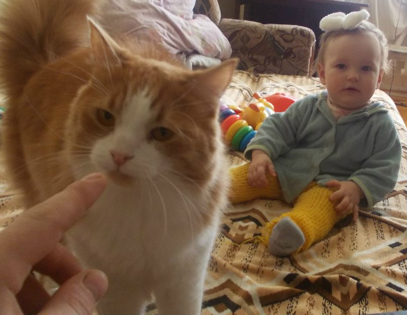 Саша Никитин ????????????﻿Sorik???????????? | Jericho