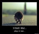 Фотография Емо Бой