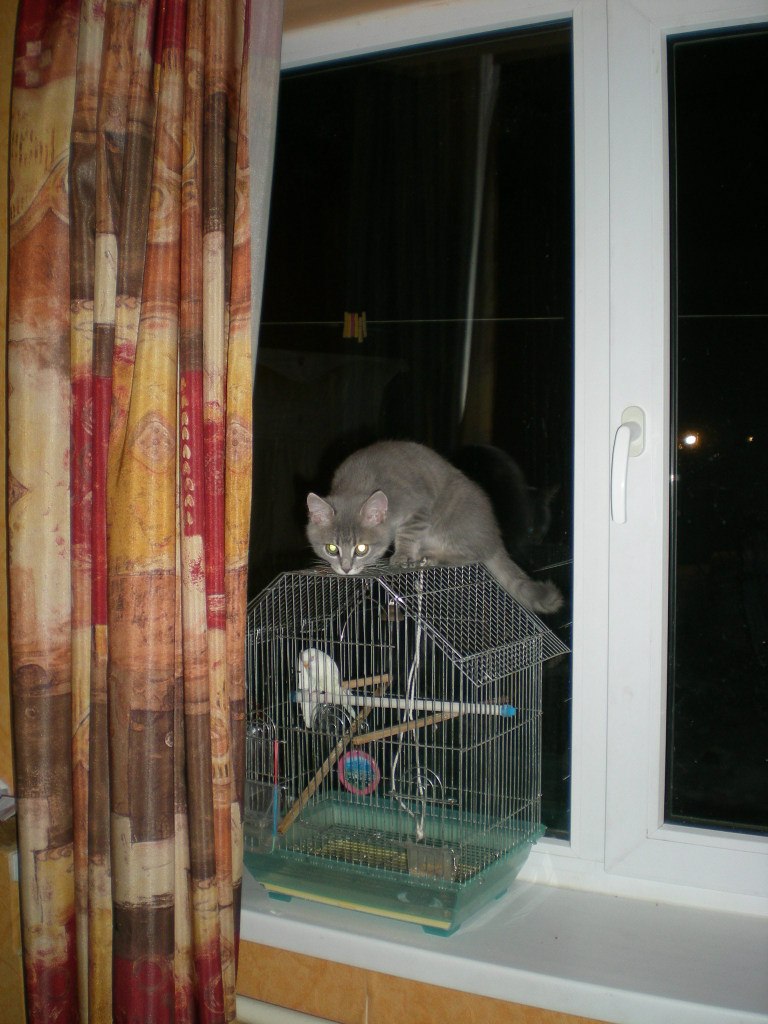 Ольга Болюк | Воронеж