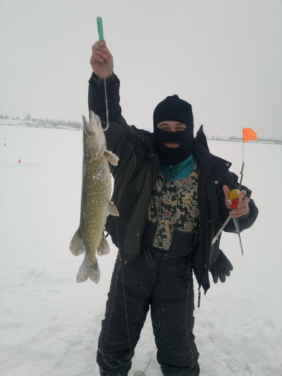 Тарас Федишин | Луцк