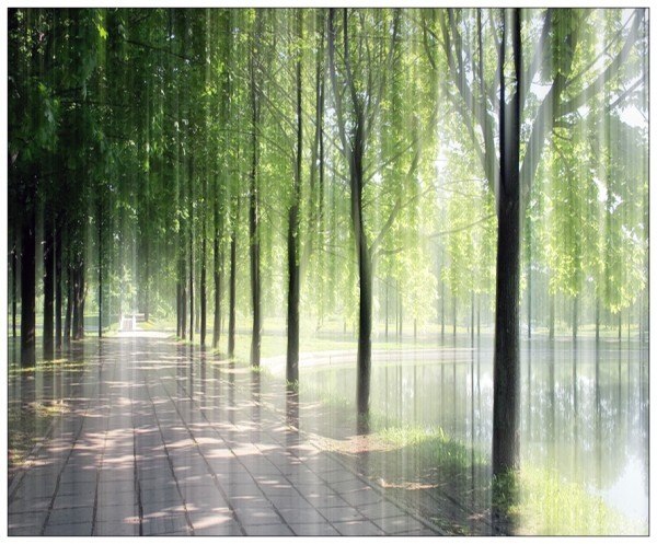 Полина Шевцова | Балашиха