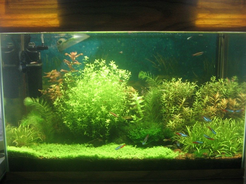 Зульфат Бабаев ℂ⋆ | Тюмень