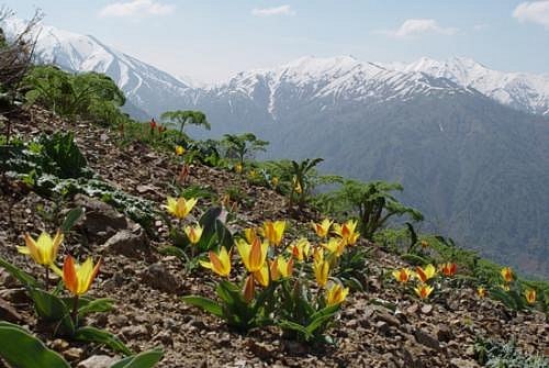Виктория Дмитриева | Санкт-Петербург