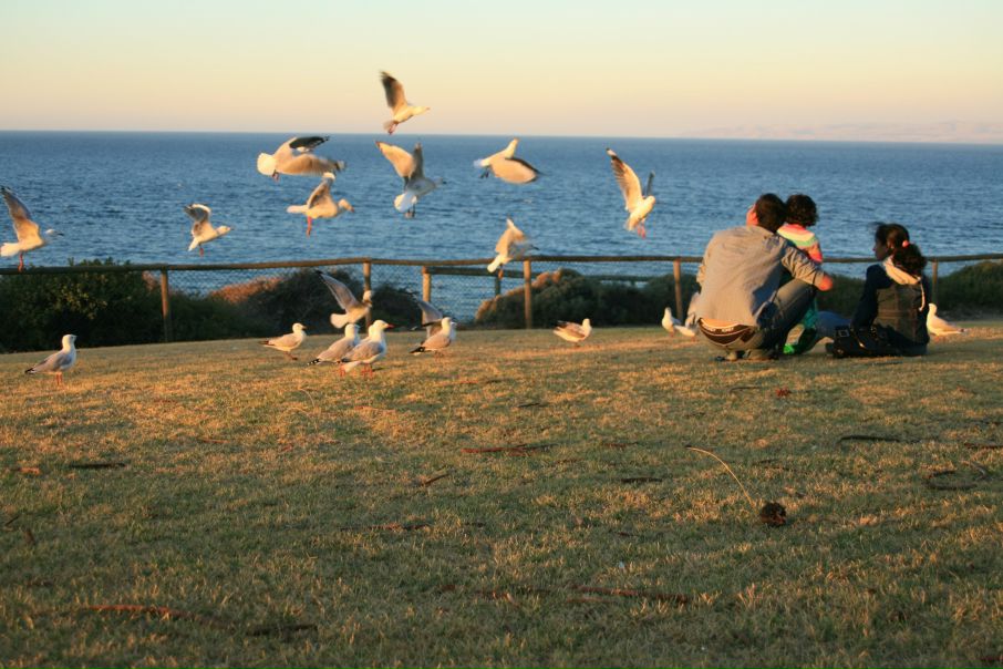 №19, Мария Чувочина-Guyot, 40 лет, Brisbane №19, Мария Чувочина-Guyot, 40 лет, Brisbane