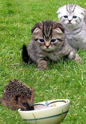 №140, Женя Денисенко, 25 лет, Харьков №140, Женя Денисенко, 25 лет, Харьков