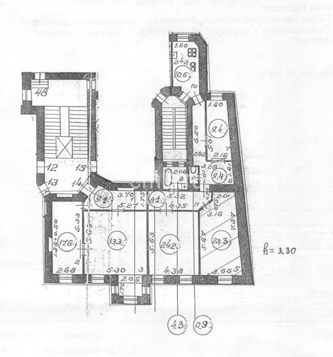 Алексей Луценко | Санкт-Петербург
