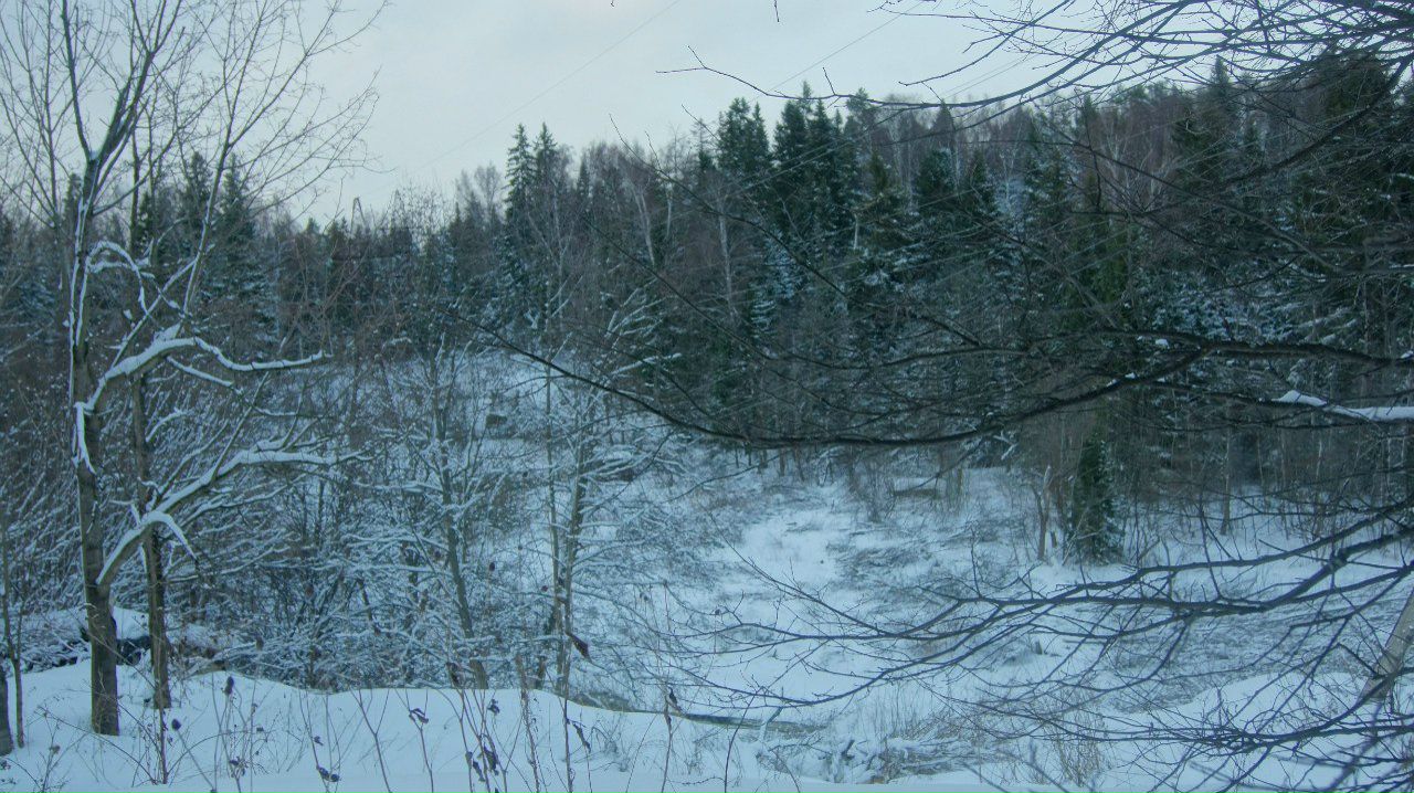 Евгения Киселёва | 