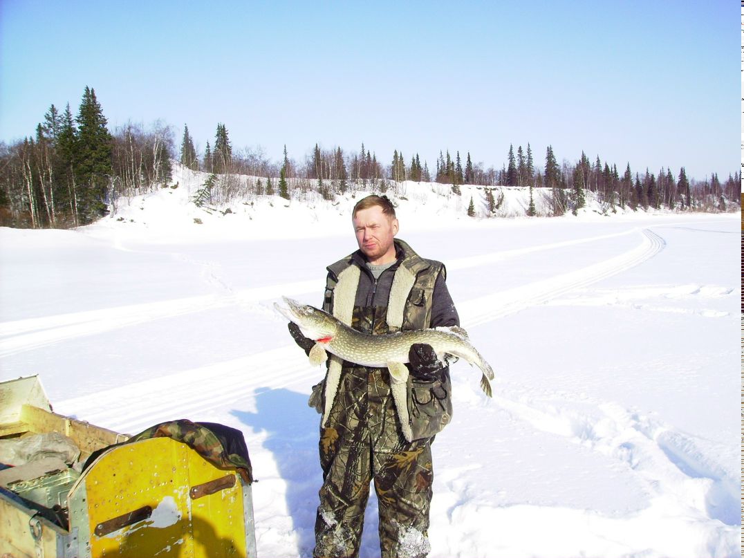 Юра Плоский | 