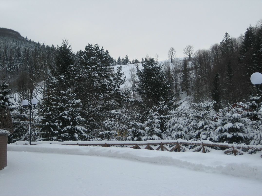 Віктор Русин viktorovuch | Берегово