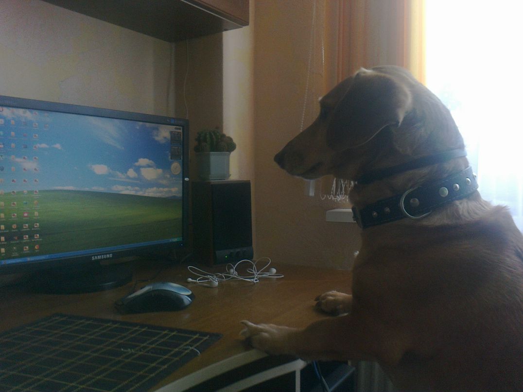 Егор Онищук ♠.♣Игоревич♥.♦ | Ялта