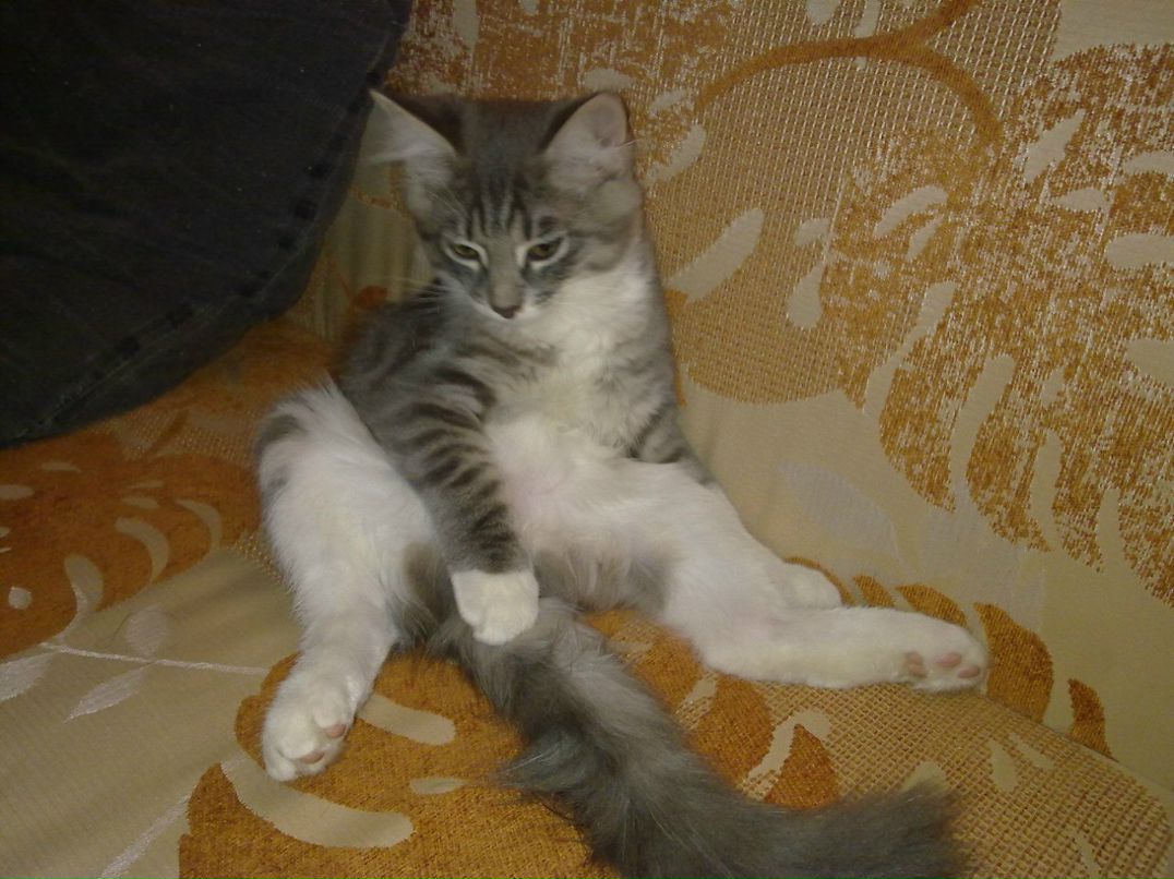 Анна Млечкова | Москва