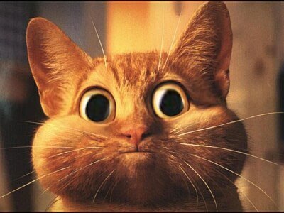 Евгений Быстров | Новосибирск