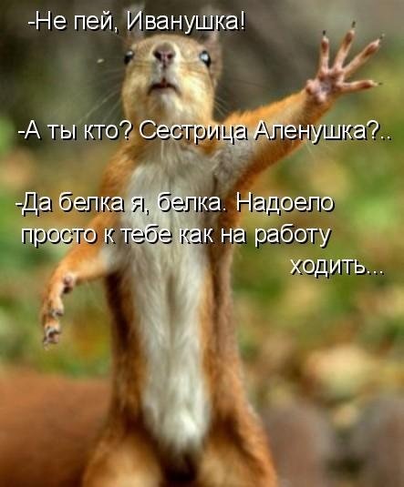 №24, Михайло Руммо, Харьков №24, Михайло Руммо, Харьков