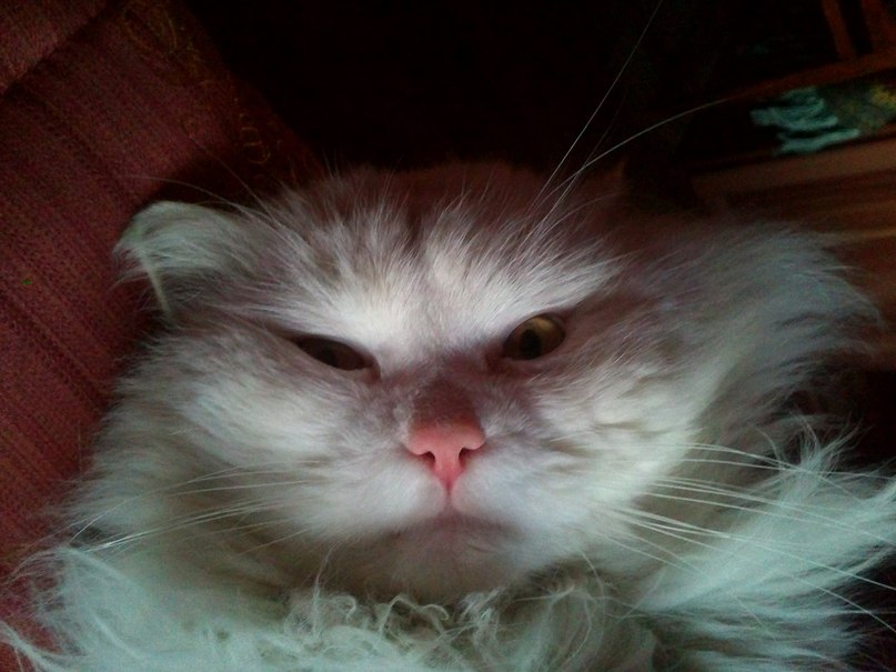 Аня Матюнина | Екатеринбург