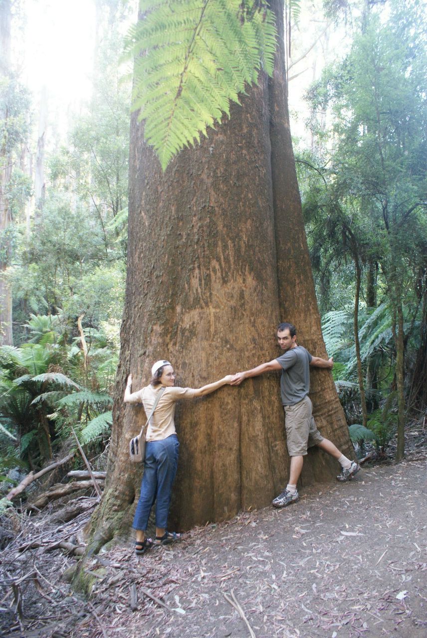 Дрю Святицкий | Melbourne
