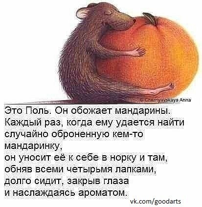 Лилия Цейтлина | Москва