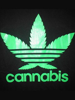 Александр Якубов | Тюмень