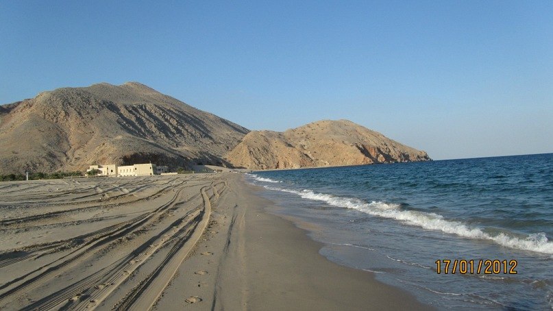 Светлана Александрова | Berlin