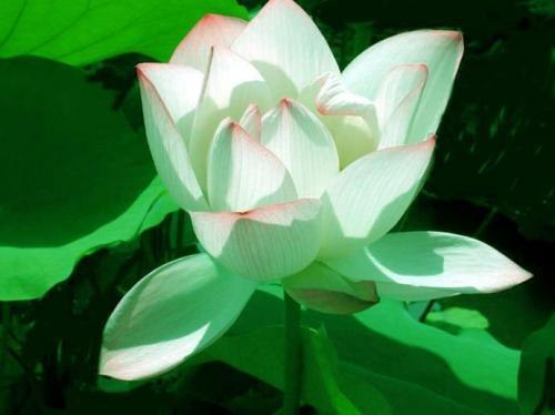 Марина Завалишина | 