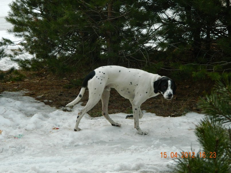 Ира Акимова | Владимир