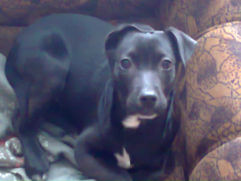 Яков Негодов | Саранск