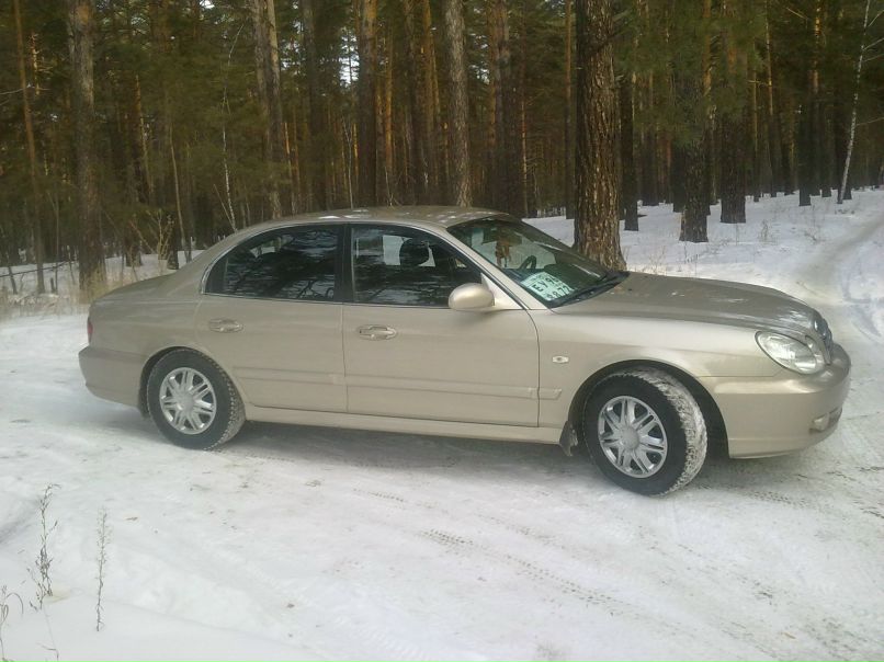 Денис Поляков | Курган