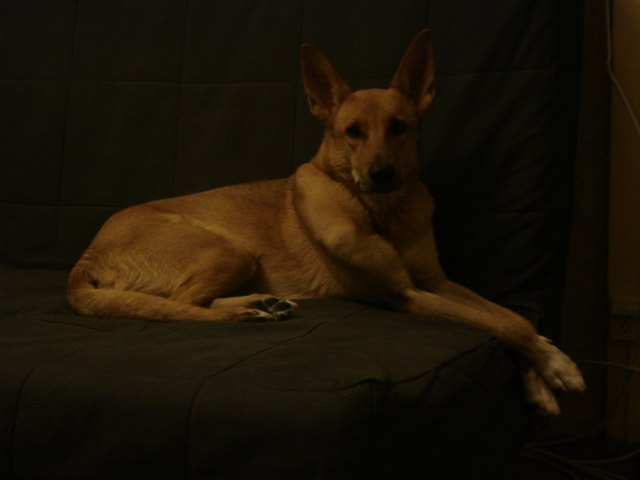 Егор Червяцов | Куюки