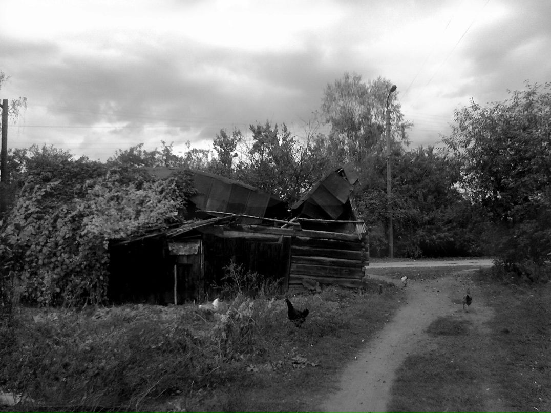 Ксения Нагорная | Чернигов