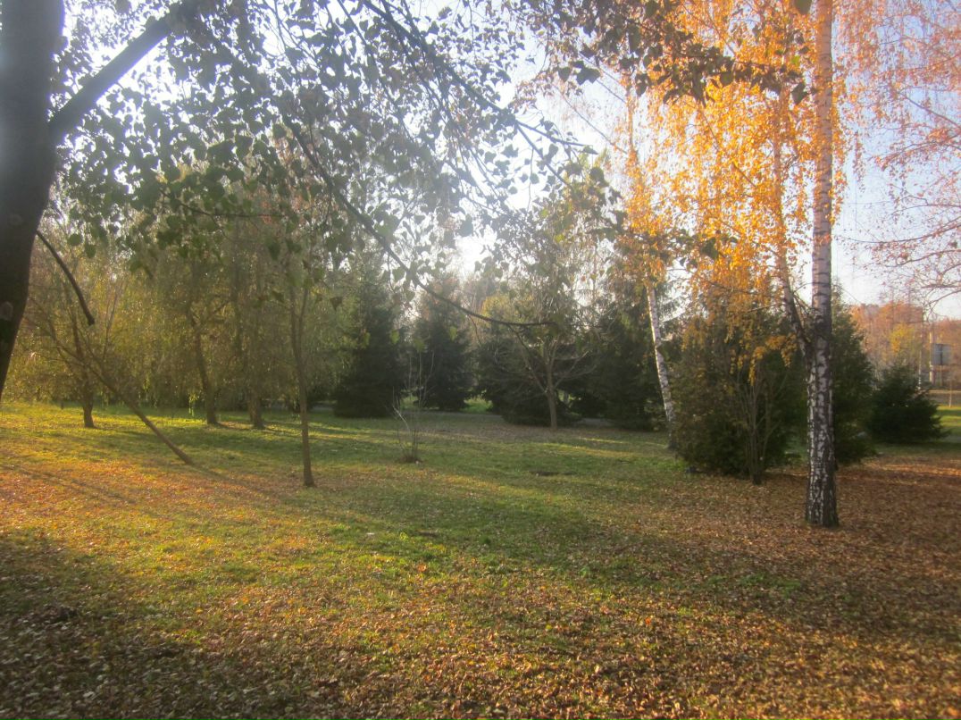 Юра Вовк | Москва