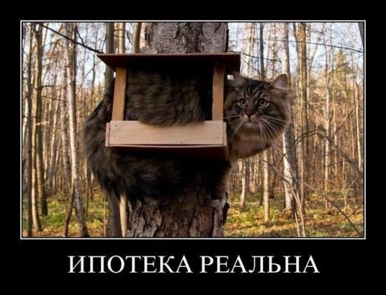Андрей Демченков Николаевич | Великие Луки