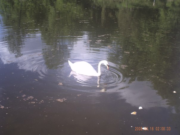 №47, Ирина Барыбина, Белая Церковь №47, Ирина Барыбина, Белая Церковь