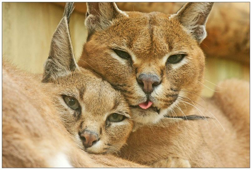 Никита Андреев Feanor | Уфа