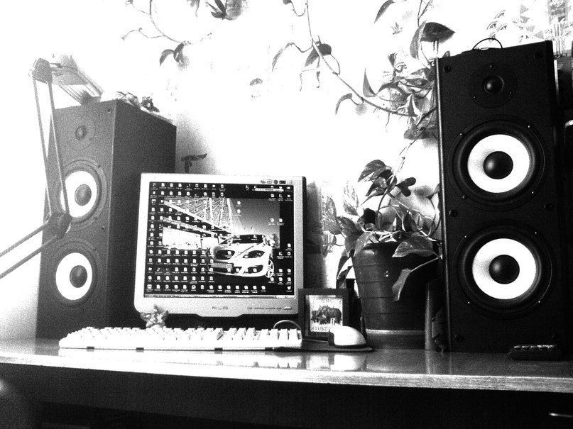 Денис Власов | Брянск