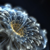 Натали Кузнецова